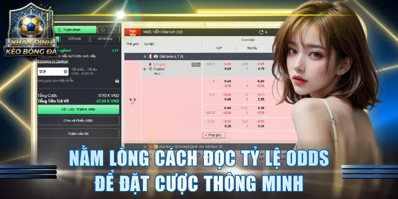 Nằm lòng cách đọc tỷ lệ Odds để đặt cược thông minh
