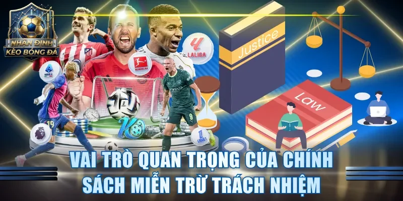 Vai trò đóng góp quan trọng của chính sách miễn trừ trách nhiệm